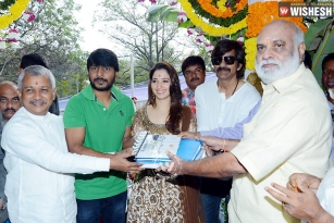 Bengal Tiger Movie Launched