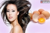 different types of egg masks, benefits of egg for skin, best skin treatments with egg, Oily skin