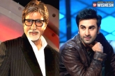Amitabh Bachchan, Amitabh Bachchan news, big b and ranbir kapoor to team up, Ranbir kapoor