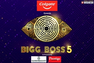 Highlights Of Bigg Boss 5 Curtain Raiser Episode