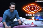 July 15, Bigg Boss Telugu, jr ntr s telugu reality show bigg boss gets a date, Reality show