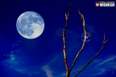 Lunar year, Blue moon, blue moon is not exactly blue, Lunar year