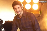 Mahesh Babu latest, Sara Ali Khan, bollywood beauty to romance mahesh babu, Mahesh babu next movie