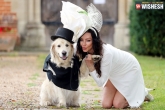 woman marries dog, Elizabeth Hoad and Logan, british woman marries her dog on a tv show, British gq