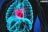 Takotsubo syndrome news, Broken heart syndrome study, heart failure in extreme cases of broken heart syndrome, Analysis