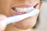 health, dementia, brushing your teeth can protect you from dementia and heart disease, Oral hygiene