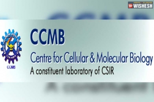 Telangana To Lose CCMB Unit For Andhra Pradesh