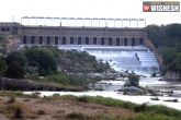 Cauvery, Cauvery, karnataka govt says no to release cauvery water to tamil nadu, C c patil