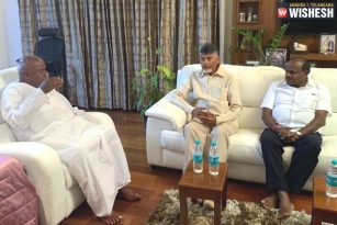 Chandra Babu Meets Deve Gowda and Kumaraswamy