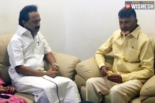 Chandra Babu Meets Karunanidhi In Chennai