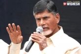 Chandra Babu Naidu, Andhra Pradesh, chandra babu responds to pawan s comments, Tirupathi