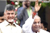 Chandra Babu Naidu, Chandra Babu Naidu, chandra babu to campaign for congress, Jds