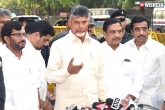 Chandra Babu Naidu news, Chandra Babu Naidu, chandra babu responds on joining hands with trs, Joining hands