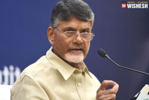 Chandrababu Naidu To Pick Out His Candidates Carefully