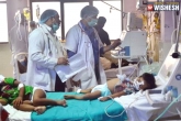 Encephalitis, Gorakhpur Children Death, 70 children dead in 4 days in gorakhpur s brd medical college, Encephalitis