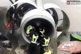Chinese Passenger, China updates, for luck chinese passenger throws coins into plane s engine, Plane