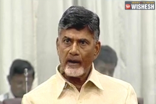 AP CM Blames Collectors, SPs For Chittoor Accident