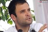 Rahul Gandhi next, Congress, congress and rahul focused on cpp leadership, Leadership
