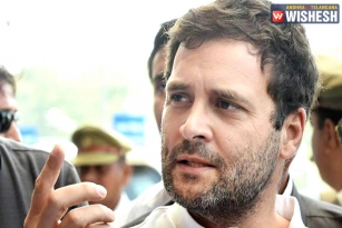 Congress Fought Anger With Dignity Says Rahul Gandhi