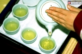 Green tea next, Green tea updates, consuming green tea can do wonders, Lifestyle