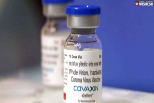 USA To Allow Indian Travelers Vaccinated With Covaxin