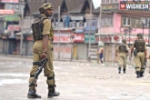 curfew, Kashmir, curfew continues in kashmir for the 42nd day, Curfew