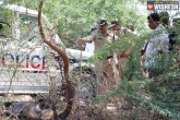 Terrorist attacks, Terrorist attacks, darga sheltered those 2 assailants, Telangana police