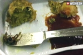 Air India, meals, dead cockroach found inside air india meals, Meal