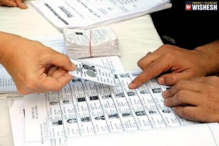 Over 8 Lakh Applications Seeking Deletion Of Voters Submitted In AP