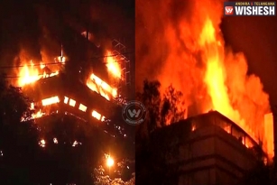 Delhi&rsquo;s iconic National Museum of Natural History gutted by fire