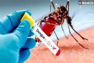 Dengue cases witness a huge rise in Hyderabad