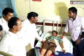 Dengue, Hyderabad dengue latest, dengue threat for hyderabad health emergency announced, Dengue