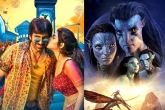 Christmas weekend 2022, Dhamaka and Avatar 2 updates, sensational sunday for dhamaka and avatar 2, 18 pages