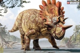 Weird facts, Weird facts, dinosaurs not extinct here is the proof, Dinosaur