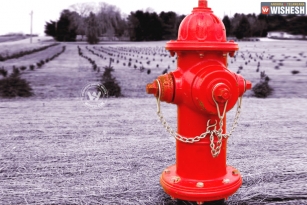 Do you know who invented fire hydrant ?