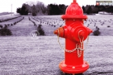 Weird facts, Fire hydrant, do you know who invented fire hydrant, Unbelievable facts