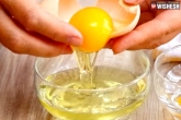 Egg White advantages, Egg White for oily skin, egg white a perfect help for a clear face, Beauty