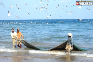 Eight TN Fisherman Arrested By Sri Lankan Navy