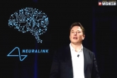 Elon Musk news, Elon Musk latest updates, elon musk s neuralink gets fda approval, Neuralink