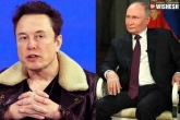 Elon Musk latest updates, Elon Musk tweets, elon musk s sensational predictions on vladimir putin, Revenue