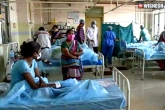 AP Government, Eluru mystery illness updates, eluru mystery illness 100 people still in the hospital, Eluru mystery illness