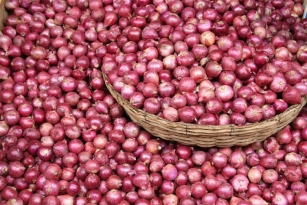Farmer earns Rs 1 for 100 kg onions