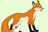 Funny Jokes, Animal Jokes, fox loves pawan kalyan, Fox