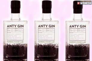 Gin prepared with Ants