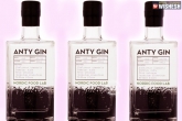 Ants alcohol, Weird facts, gin prepared with ants, Alcohol