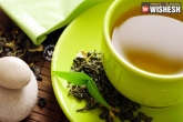 green tea reverse alzeimers, tips for memory loss patients, green tea and exercise may overturn alzheimer s, Green tea