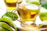 green tea health benefits, research on prostate cancer in men, green tea can prevent prostate cancer, Green tea