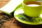 Green tea can reduce stress levels, stress levels reduced with green tea, green tea ingredient can reduce stress and cortisol levels, Green tea