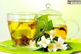 Oral Cancer, Oral Cancer, green tea to kill oral cancer cells, Green tea