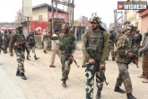 security forces, Gunfight, gunfight between security forces and terrorists in jammu 1 terrorist killed, Gunfight